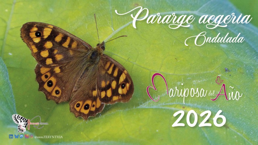 Mariposa 2026 2