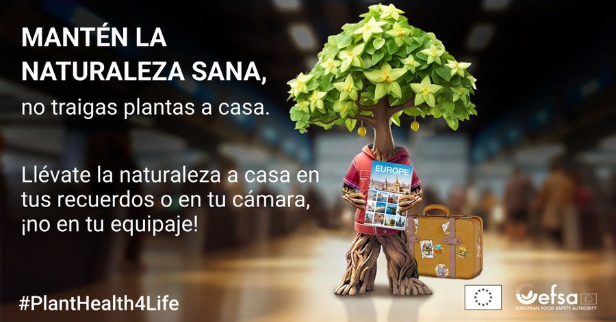 Nueva campaña para concienciar a la ciudadanía sobre la protección de plantas y evitar la llegada de plagas