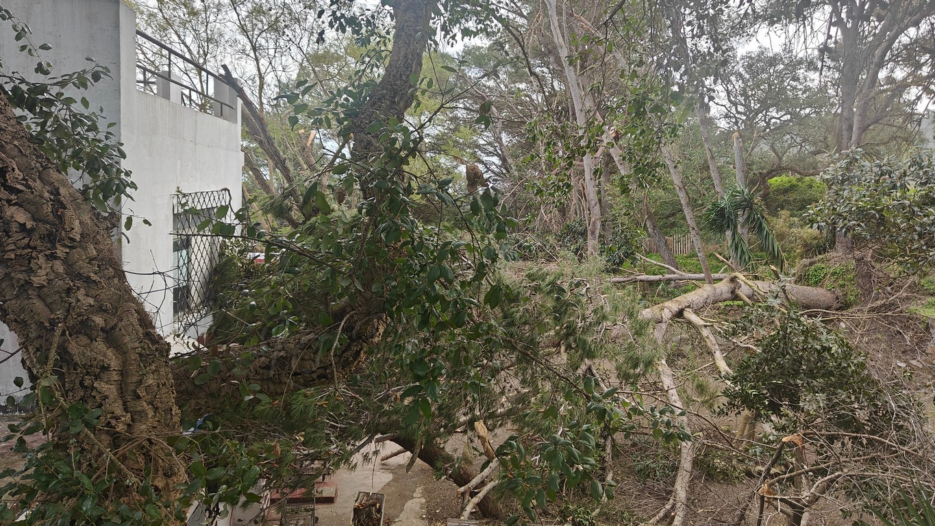 Ceuta Ya! pide ayudas para las viviendas afectadas por los temporales de principios de año
