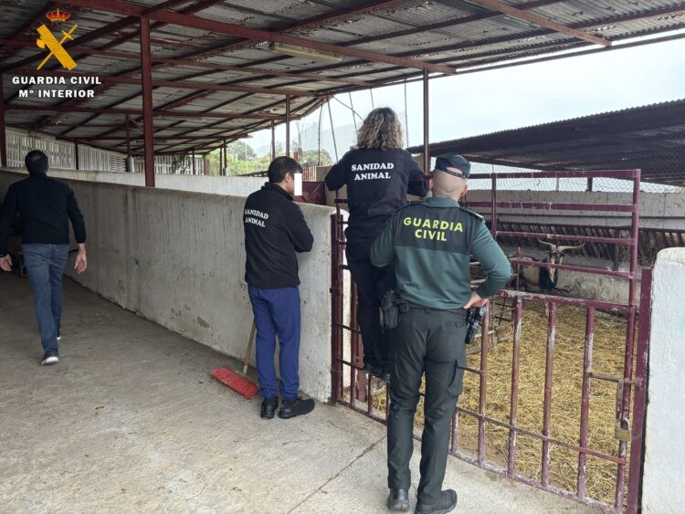 La Guardia Civil inspecciona las explotaciones ganaderas con motivo de la Fiesta del Sacrificio