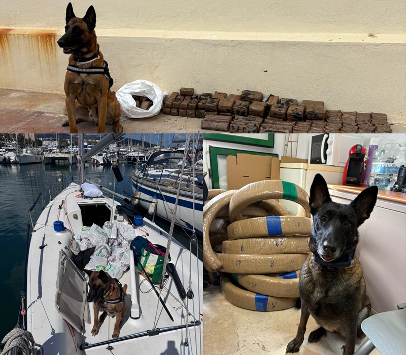 La Policía Nacional organiza por primera vez en Ceuta un curso de actualización de guías caninos