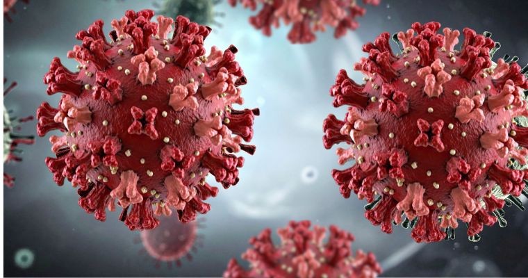 Alerta de la OMS: la fractura política y la falta de inversión nos sitúan al borde de una pandemia más letal