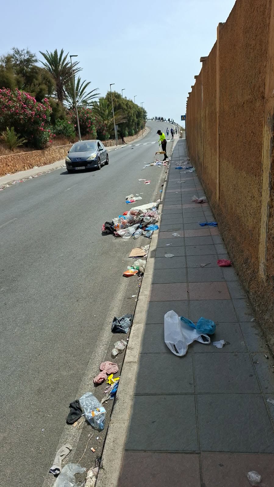 dispositivo limpieza ceuta