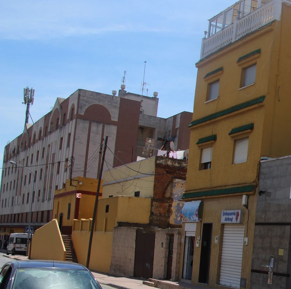 El PSOE exige una actuación integral en las barriadas de Loma Margarita y La Reina. LVC