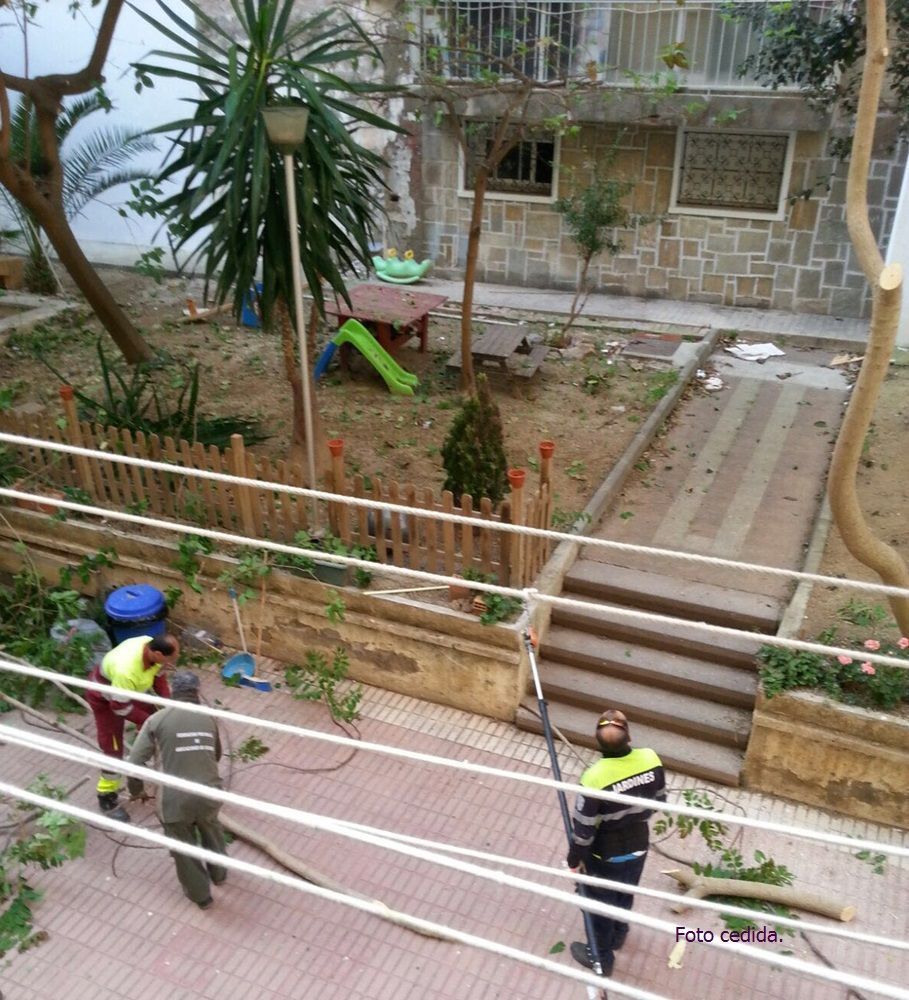 El PSOE denuncia que las Brigadas Verdes trabajan en el patio interior de un edificio privado.
