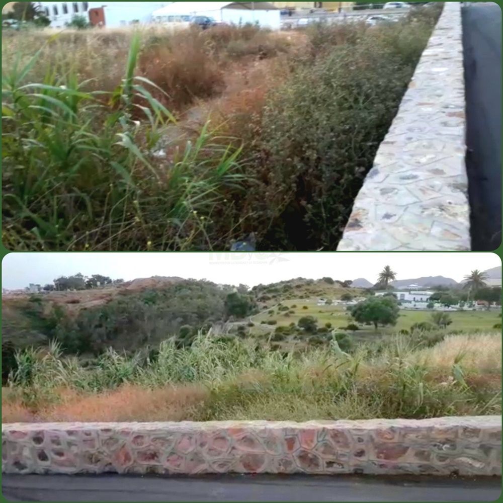  El MDyC solicita el desbroce y la fumigación de la calle Soldado Valle Almazán