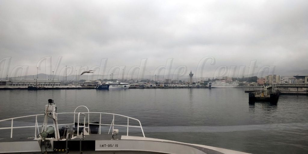 Hallan 2.011 kilos de cocaína en el puerto de Algeciras
