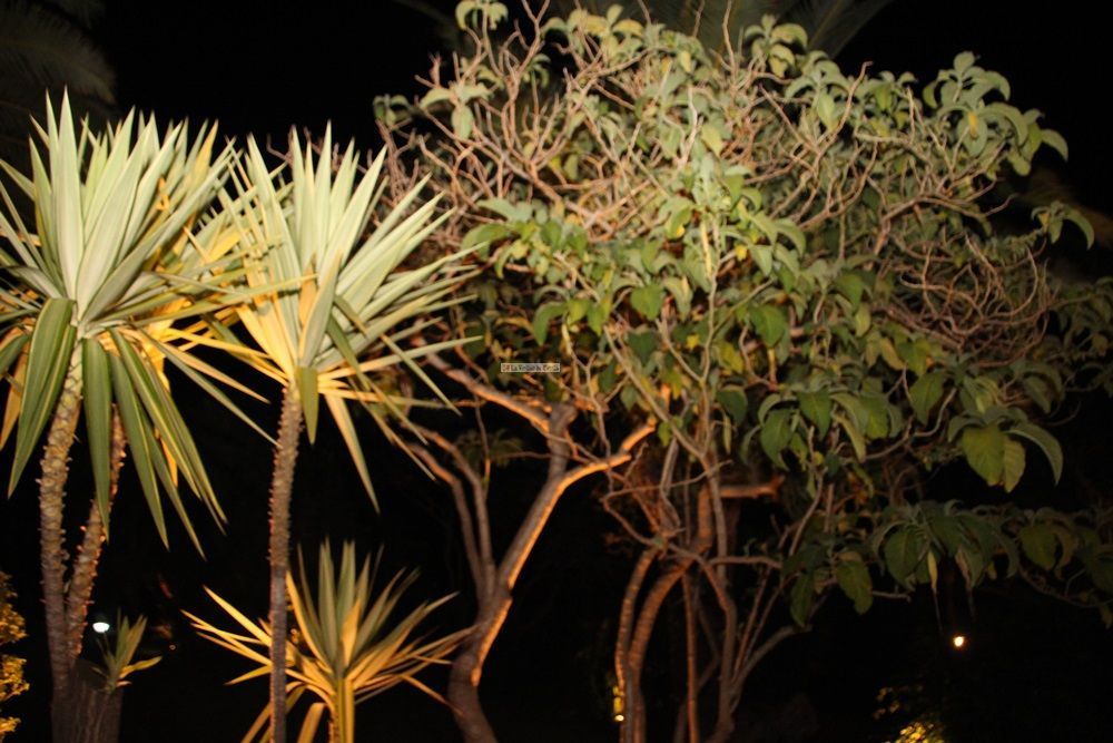 Los jardines de la Argentina, cerrados temporalmente por la caída de un árbol. LVC