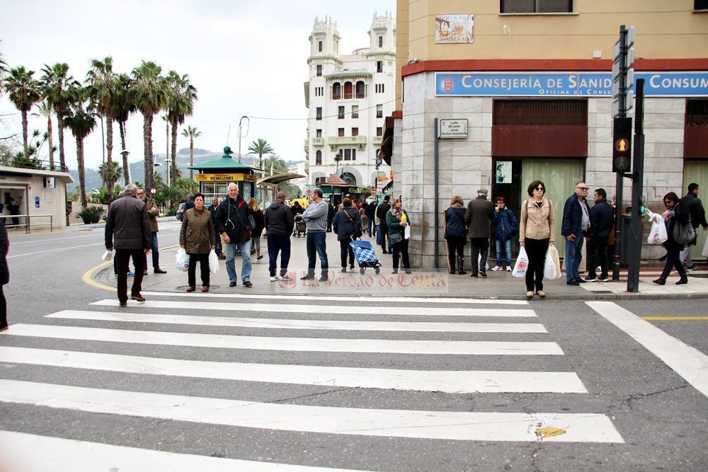El PSOE denuncia que aún no se han colocado pictogramas en los pasos de peatones