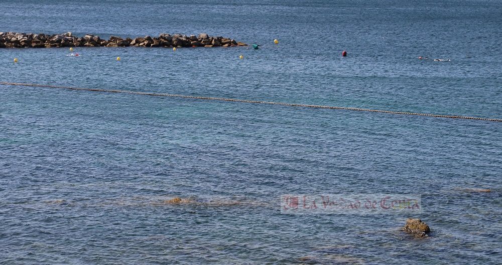 Los expertos prevén un aumento de medusas en las costas españolas