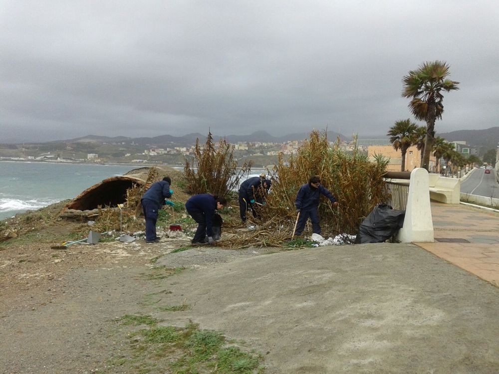 El MDyC instará a la intervención de las Brigadas Verdes para salvaguardar los derechos de los trabajadores