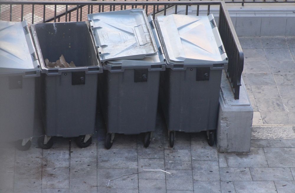 Los cachorros fueron encontrados en un contenedor de basura. Archivo LVC