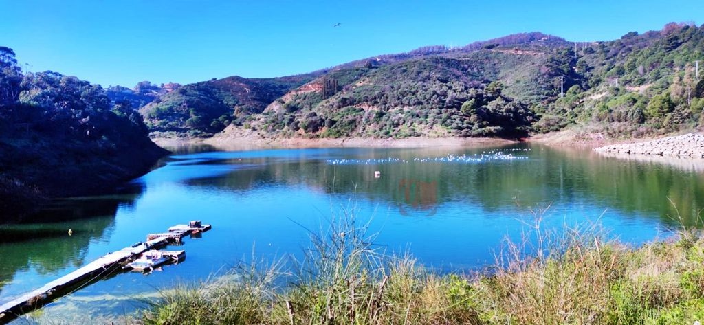 Agresión a un vigilante de seguridad en el pantano