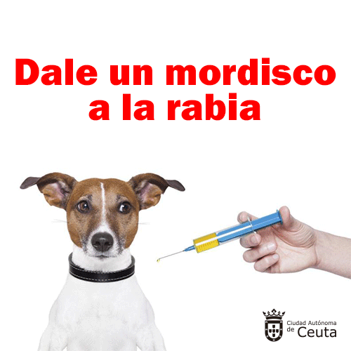 La Ciudad iniciará mañana lunes la campaña de vacunación contra la rabia 